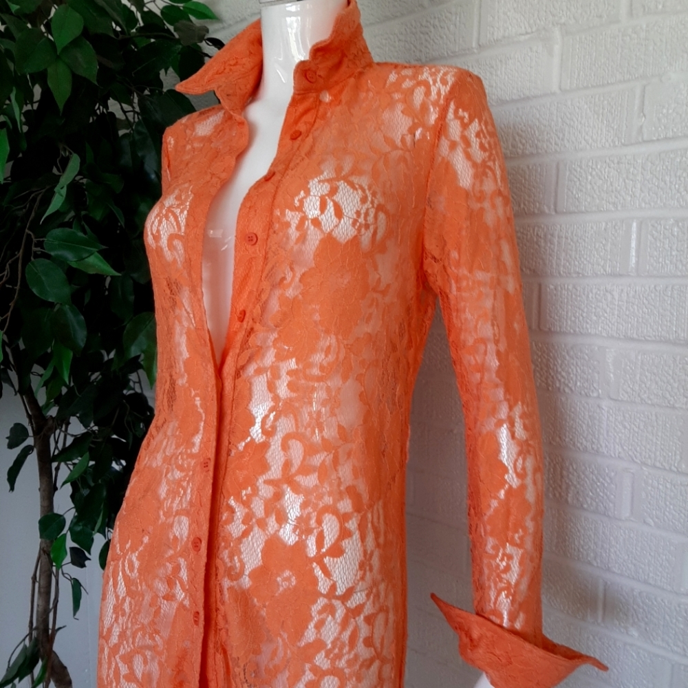 Sheer Lace Dress
